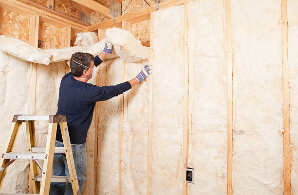 Best Insulation Air Sealing  in Estill, SC